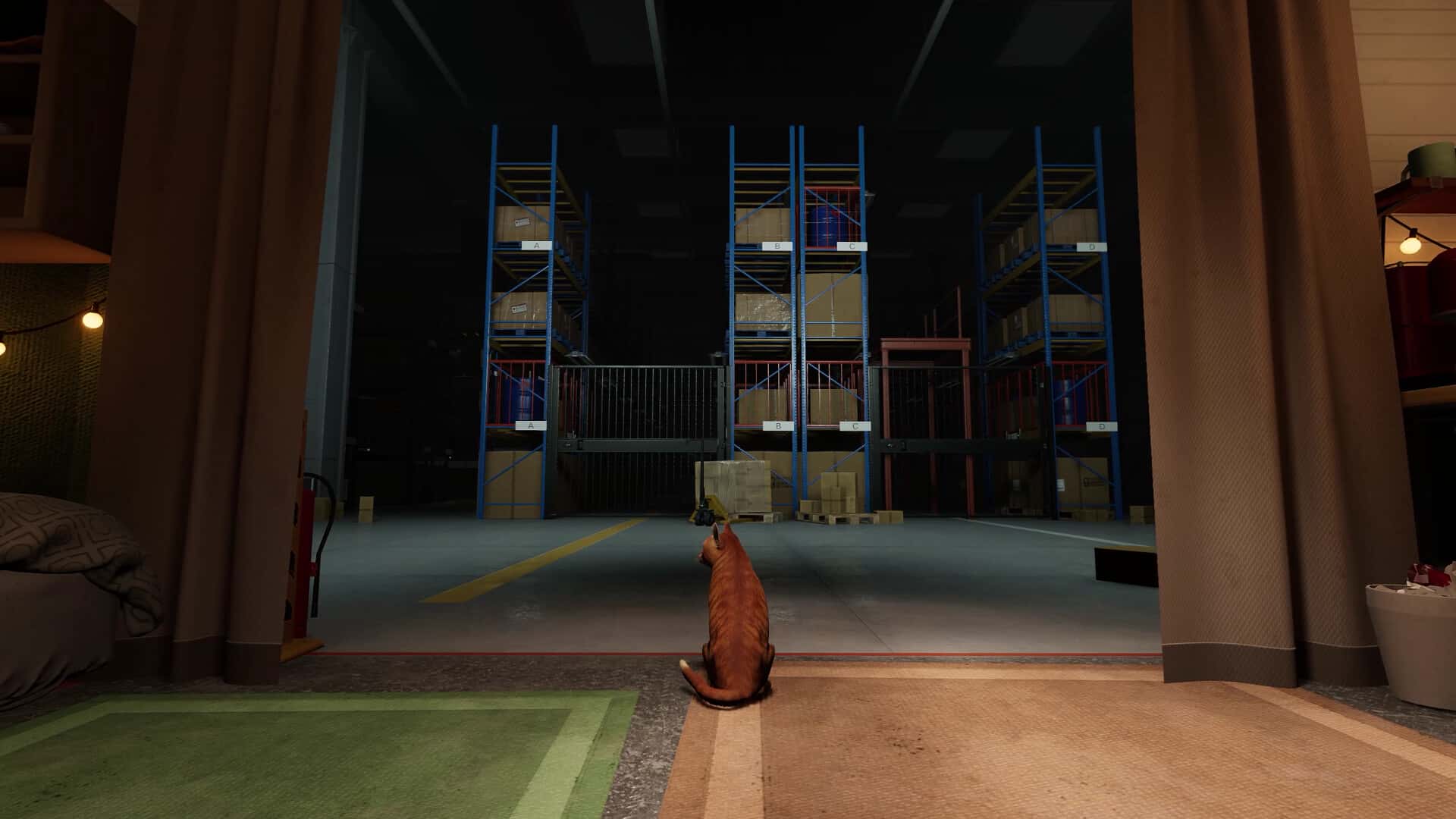 猫好货坏(Order 13)