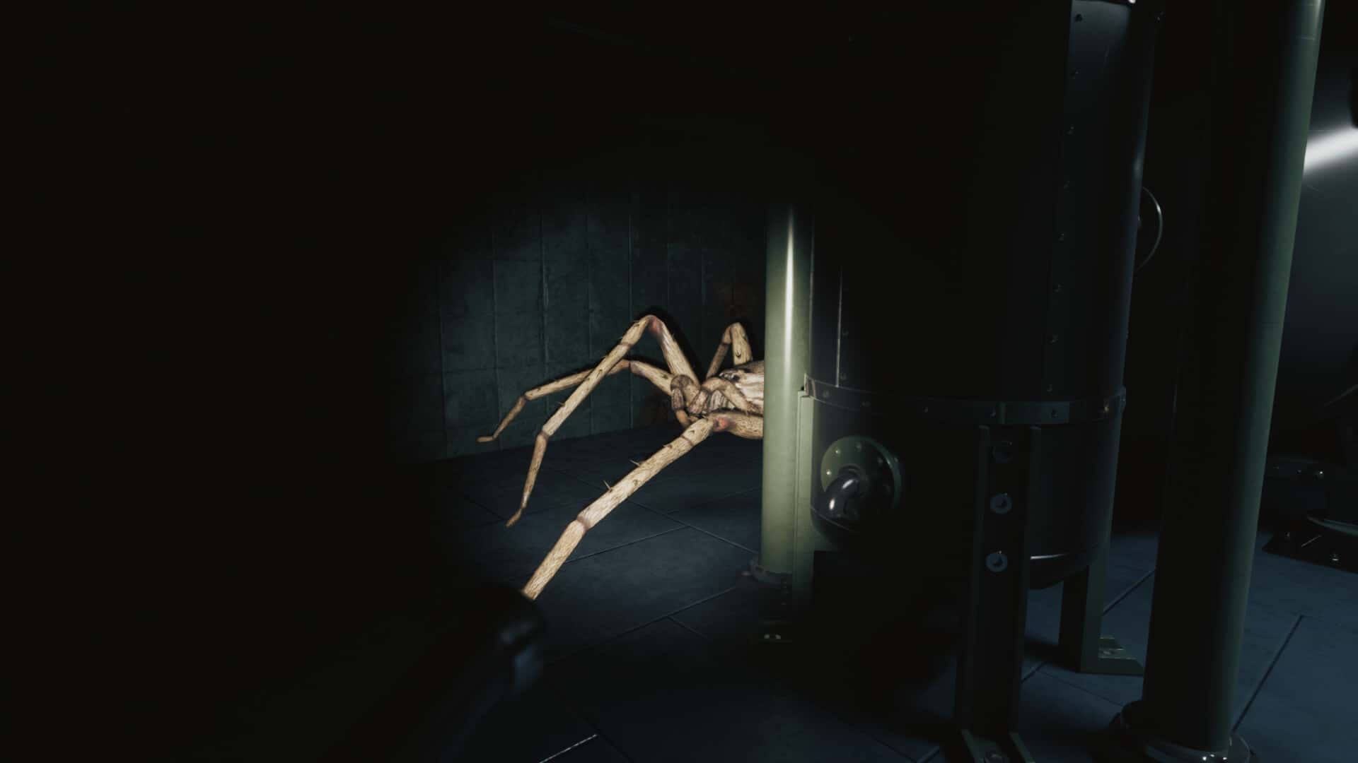 巨蛛猎手(Huntsman)